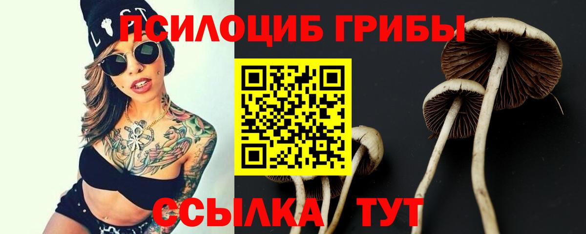 ГАШИШ  Марихуана  Нальчик  Вход с VPN  Меф МЯУ МЯУ   Alpha PVP СОЛЬ  
